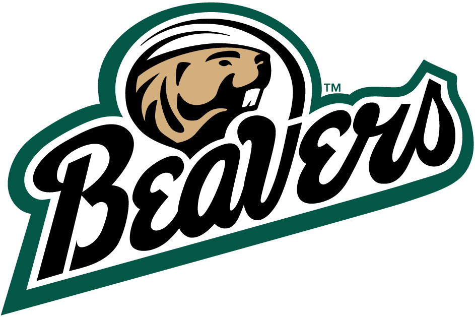 Bemidji State Beavers 2004-Pres Alternate Logo t shirts DIY iron ons v2